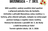 Brusinkiáda 2026 - 7. úkol
