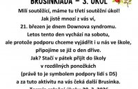 Brusinkiáda 2026 - 3. úkol